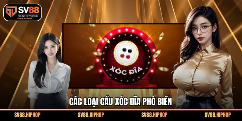 Các loại cầu xóc đĩa phổ biến