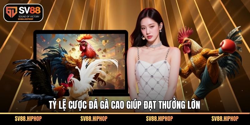 Tỷ lệ cược đá gà cao giúp đạt thưởng lớn